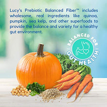 Load image into Gallery viewer, Lucy Pet Products Formulas for Life - Sensitive Stomach &amp; Skin Dry Dog Food, All Breeds &amp; Life Stages - Duck, Pumpkin, and Quinoa, 25 lb, Model:850657006500
