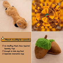 Load image into Gallery viewer, Meilzer Snuffle Mat for Dogs Sniff Mat for Dogs Puzzle Toys Squirrel Squeaky Tough Durable Teething Interactive Games

