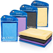 Load image into Gallery viewer, Chill Pal PVA Cooling Towel (Ocean Blue)
