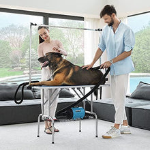 Load image into Gallery viewer, DEStar 45 x 24 Inch Collapsible Pet Grooming Table with 2800W/3.8HP High Velocity Pet Grooming Blower Combo Set

