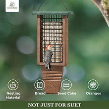 Load image into Gallery viewer, Kingsyard Recycled Plastic Suet Bird Feeder, Double Capacity Tail-Prop Suet Feeder for Outside Hanging, Sturdy &amp; Durable, Great for Woodpecker &amp; Clinging Birds, Green
