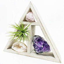 Load image into Gallery viewer, people crystals Mini Crystal + Air Plant Gift Set/Includes a 4.75” Mini Display Shelf, Tillandsia Air Plant, Purple Amethyst Cluster, Raw Rose Quartz, and Clear Quartz Point, Home décor Accent.
