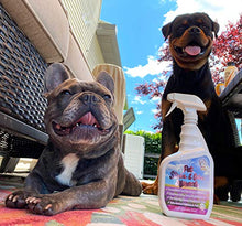 Load image into Gallery viewer, Pet Stain &amp; Odor Miracle - The Best Enzyme Cleaner for Dog Urine Cat Pee Feces Vomit, Enzymatic Solution Cleans Carpet Rug Car Upholstery Couch Mattress Furniture, Natural Eliminator (S/M 32FL OZ)

