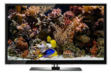 Load image into Gallery viewer, Ambient DVD - Fireplace and Tropical Aquarium - 2 Hours of HD Video Moods -with 25 Minutes Loops
