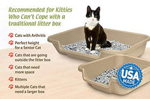 Load image into Gallery viewer, Kitty Go Here Senior Cat Litter Box 24" x 20" x 5" Beach Sand Color. Opening is 12" Wide and 3" from The Floor. Made in The USA are Available Under PuppyGoHere.
