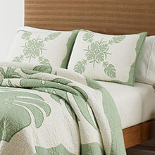 Load image into Gallery viewer, Tommy Bahama | Molokai Collection | Quilt-100% Cotton, Reversible, Soft &amp; Breathable Bedding, Pre-Washed for Added Softness, King, Mint Green
