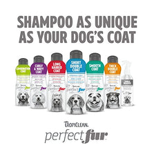Load image into Gallery viewer, TropiClean PerfectFur Curly &amp; Wavy Coat Shampoo for Dogs, 16oz - Made in USA - Naturally Derived - Curly &amp; Wavy Coat Formula - Detangling &amp; Dematting on Thick Fur &amp; Wiry Breeds Like Poodles &amp; Bichons
