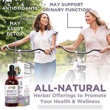 Load image into Gallery viewer, Adrenal Support &amp; Kidney Bladder Support Liquid Herbals Bundle by MaryRuth's | Adrenal Support &amp; Focus Liquid Drops, 1oz | Kidney &amp; Bladder Support Liquid Drops, 1oz | Vegan, Non-GMO, Gluten Free
