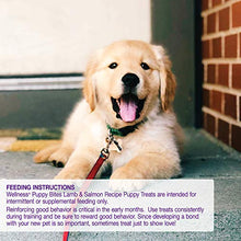 Load image into Gallery viewer, Wellness Soft Puppy Bites Natural Grain Free Puppy Training Treats, Lamb &amp; Salmon, 3-Ounce Bag
