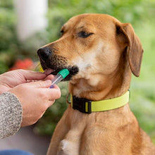 Load image into Gallery viewer, Embark | Dog DNA Test | Breed Identification Kit
