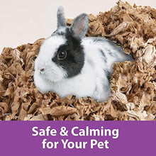 Load image into Gallery viewer, Kaytee Clean &amp; Cozy Natural Bedding with Lavender for Pet Guinea Pigs, Rabbits, Hamsters, Gerbils, and Chinchillas, 49.2 Liters
