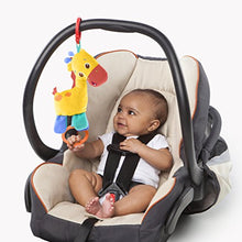 Load image into Gallery viewer, Bright Starts Zippy Zoo Activity Gym
