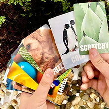 Load image into Gallery viewer, Hapinest Find and Seek Scavenger Hunt Outdoor Indoor Card Game for Kids
