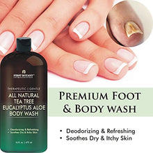 Load image into Gallery viewer, ALL Natural Tea Tree Body Wash - Fights Body Odor, Athlete’s Foot, Jock Itch, Nail Issues, Dandruff, Acne, Eczema, Shower Gel for Women &amp; Men, Eucalyptus Aloe Skin Cleanser/body soap-16 fl oz
