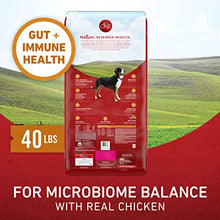 Load image into Gallery viewer, Purina ONE Natural Dry Dog Food, SmartBlend Chicken &amp; Rice Formula - 40 lb. Bag
