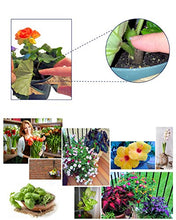 Load image into Gallery viewer, EarthPods Premium Garden Herbs &amp; Vegetable Plant Food – Easy Organic Fertilizer Spikes – 100 Count – Supports Healthy Root &amp; Leaf Growth (Great for Kitchen Herbs &amp; Lettuce Garden, Ecofriendly)
