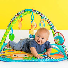 Load image into Gallery viewer, Bright Starts Zippy Zoo Activity Gym
