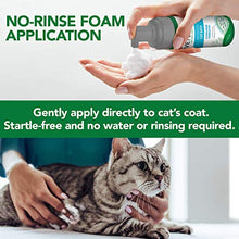 Load image into Gallery viewer, Vet's Best Waterless Cat Bath | No Rinse Waterless Dry Shampoo for Cats | Natural Formula | 4 Ounces
