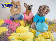 Load image into Gallery viewer, Peeps for Pets Easter Bunny Costume for Dogs, Puppies, &amp; Cats, Size Medium (M) | Pet Costume Available in A Variety of Sizes, Please See Sizing Chart for More Details
