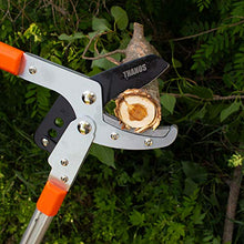 Load image into Gallery viewer, THANOS A1101 Extendable Anvil Loppers Tree Trimmer with Compound Action,Chops Thick Branch Ease,28-40'' Telescopic Heavy Duty Branch Cutter,2 inch Clean Cut Capacity.
