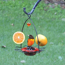 Load image into Gallery viewer, Birds Choice OFF Oriole Flower-Shaped Feeder w/Heart Ornament, Oriole Nectar &amp; Jelly Feeder, 3oz Capacity, Orange
