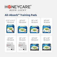 Load image into Gallery viewer, HONEY CARE All-Absorb A07 Bulk Packaging Training Pads, Blue, Large - 22" x 23" 200ct
