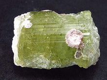 Load image into Gallery viewer, Green Tourmaline Crystal From Brazil - 0.9"
