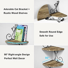 Load image into Gallery viewer, Alsonerbay Wall Mount Corner Shelves 4 Tier Floating Corner Storage Wood Shelves Decorative Rustic Radial Shelf in Cat Shape Carbonized Black
