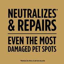 Load image into Gallery viewer, Scotts EZ Seed Dog Spot Repair Sun and Shade - 2 Lb., Mulch, Seed and Soil Amendment with Protectant and Tackifier, Repairs Pet Spots
