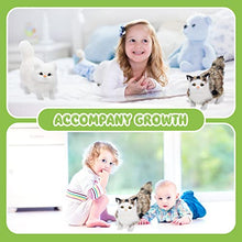 Load image into Gallery viewer, Zhanmai 2 Pcs Simulation Cat Toys Plush Simulation Animal Models Cat Plush Tabby Cat Realistic Stuffed Cat Ragdoll Gift for Kid,Women Plush Cat for Home Office Desktop Decoration
