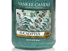 Load image into Gallery viewer, Yankee Candle Eucalyptus Large Jar Candle, 22-Ounce by Yankee Candle Company

