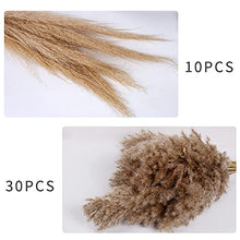 Load image into Gallery viewer, Dried Pampas Grass Decor - 40 Pcs Natural Pompas Floral/ Dried Pompous Grass Boho Plant for Flower Arrangements Wedding Home Decor(30 Pcs Brown Pampas Grass &amp; 10 Pcs Beige Pampas Grass)

