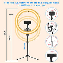 Load image into Gallery viewer, SEENDA 12'' Selfie Ring with 30'' Tripod Stand and Phone Holder, 3000K-5600K Large Circle Light with Bluetooth Remote for Photography/YouTube Video/Self-Portrait Shooting/Live-Stream
