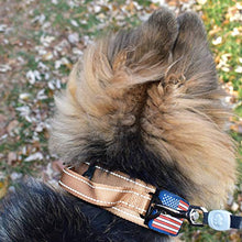Load image into Gallery viewer, Diezel Pet Products Dog Collar with Control Handle Quick Release Metal Buckle Heavy Duty Military Style 2" Width Nylon with USA Flag for Handling and Training Large Canine K9 (729C-TANTAC)
