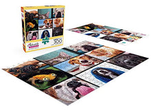 Load image into Gallery viewer, Buffalo Games - Pet's Virtual Hangout - 300 Large Piece Jigsaw Puzzle
