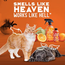 Load image into Gallery viewer, ANGRY ORANGE Pet Odor Eliminator for Home - 8oz Dog &amp; Cat Urine Smell Remover - Citrus Concentrate - Makes a Gallon (128 oz)
