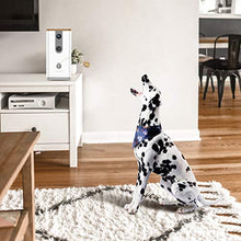 Load image into Gallery viewer, Vbroad Smart Pet Camera Treat Dispenser, 2.4G WiFi Remote Camera Monitor 720P HD Night Vision Video with 2-Way Audio Designed for Dogs and Cats, Home Safety Pet Monitor (Android/iOS)
