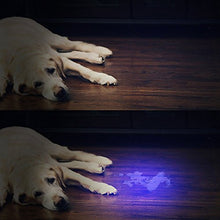 Load image into Gallery viewer, Vansky Flashlight Black Light 51 LED Blacklight Detector for Dog/Cat Urine,Dry Stains,Bed Bug, Matching with Pet Odor Eliminatornator, Eliminator, uv-2
