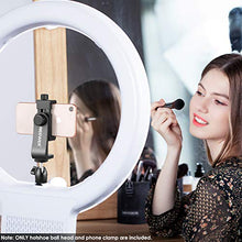 Load image into Gallery viewer, Neewer Cellphone Holder Clip Desktop Tripod Mount with Mini Ball Head Hot Shoe Adapter for 14-inch and 18-inch Ring Light and iPhone, Samsung, Huawei Smartphone Within 1.9-3.9 inches Width
