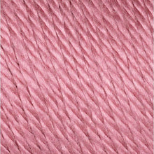 Load image into Gallery viewer, Caron Simply Soft Solids Yarn (4) Medium Gauge 100% Acrylic - 6 oz - Plum Wine - Machine Wash &amp; Dry
