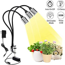 Load image into Gallery viewer, CWH&amp;WEN Plant Grow Light, Grow Lamp Full Spectrum with Auto ON &amp;Off Timer 3/9/12H for Indoor Plants, 3 Heads Grow Bulbs, USB+AC Adapter for Seedlings and Succulents
