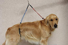 Load image into Gallery viewer, No Sit Pet Haunch Holder Dog Grooming Arm Restraint for Small, Medium and Large Dogs | Durable and Effective for Grooming Tables (Haunch Only, Large 21" and 24")
