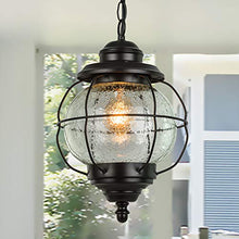Load image into Gallery viewer, LALUZ Outdoor Hanging Lantern Porch Painted Black Metal with Clear Bubbled Glass Globe in Iron Cage Frame, 1-Light Light, 10.2" Exterior Pendant Lighting for Garage
