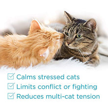 Load image into Gallery viewer, Comfort Zone MultiCat Calming Diffuser Kit, Cat Pheromone 3 Diffusers and 6 Refills-48ml, New Formula
