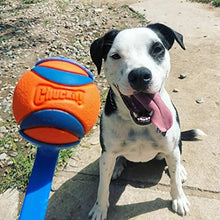 Load image into Gallery viewer, Chuckit! Ultra Ball Dog Toy, Various Sizes
