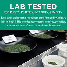 Load image into Gallery viewer, Jade Leaf Organic Matcha Green Tea Powder - Authentic Japanese Origin - Premium First Harvest Ceremonial Grade (1 Pound)
