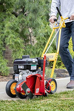 Load image into Gallery viewer, McLane 101-5.5GT-7Gas Powered Lawn Edger, 5.50 Gross Torque/3.5 HP B&amp;S Engine 7" Wheels
