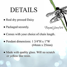Load image into Gallery viewer, Artisan Made, Real Dry Pressed Daisy in Glass Pendant, Handmade Wildflower Jewelry, Boho Necklace April Birth Flower 2559m
