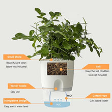 Load image into Gallery viewer, Self Watering Planters Pot - 4.1 Inch 3 Pack Plastic Bottom Watering Plant Pot with Drainage Holes Saucers Reservoirs and Wick Rope - Decorative Flower Pots for Indoor Outdoor House Plants, Flowers
