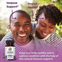 Load image into Gallery viewer, Liquid Ionic Zinc &amp; Elderberry Tablets Immunity Bundle by MaryRuth's | Organic Glycerin + Zinc Sulfate, 4oz | Elderberry + Vitamin C Chewable Tablets, 90ct | Formulated for Kids &amp; Adults
